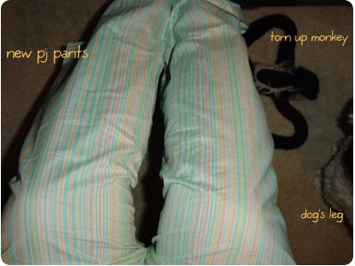 pj pants